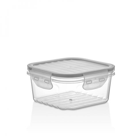 Container 800ml