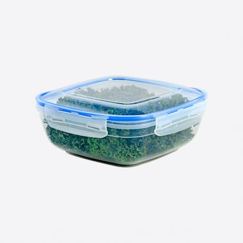 Контейнер герметичный 2700мл Dunya Plastik