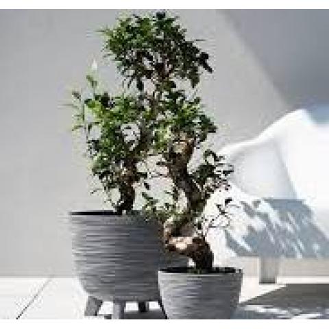  Горшок цветочный FURU. 39.5x32cm